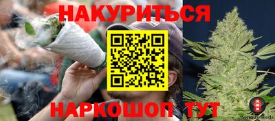 шишки Тара