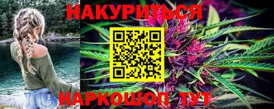 шишки Тара