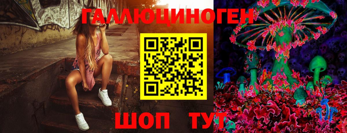 Галлюциногенные грибы MAGIC MUSHROOMS  Псилоцибиновые грибы Psilocybe  Гай  Вход с VPN 
